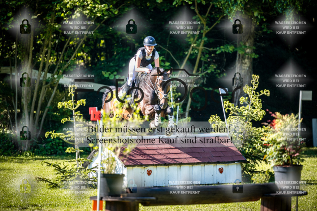 2026-05 - Melle Oldendorf-3-0113 | Entdecke hochwertige Reitturnierfotos von Foto Oger. Professionell, emotional und authentisch – jetzt Lieblingsmomente im Shop bestellen.Deutschlandweite Turnierfotografie. - Realisiert mit Pictrs.com