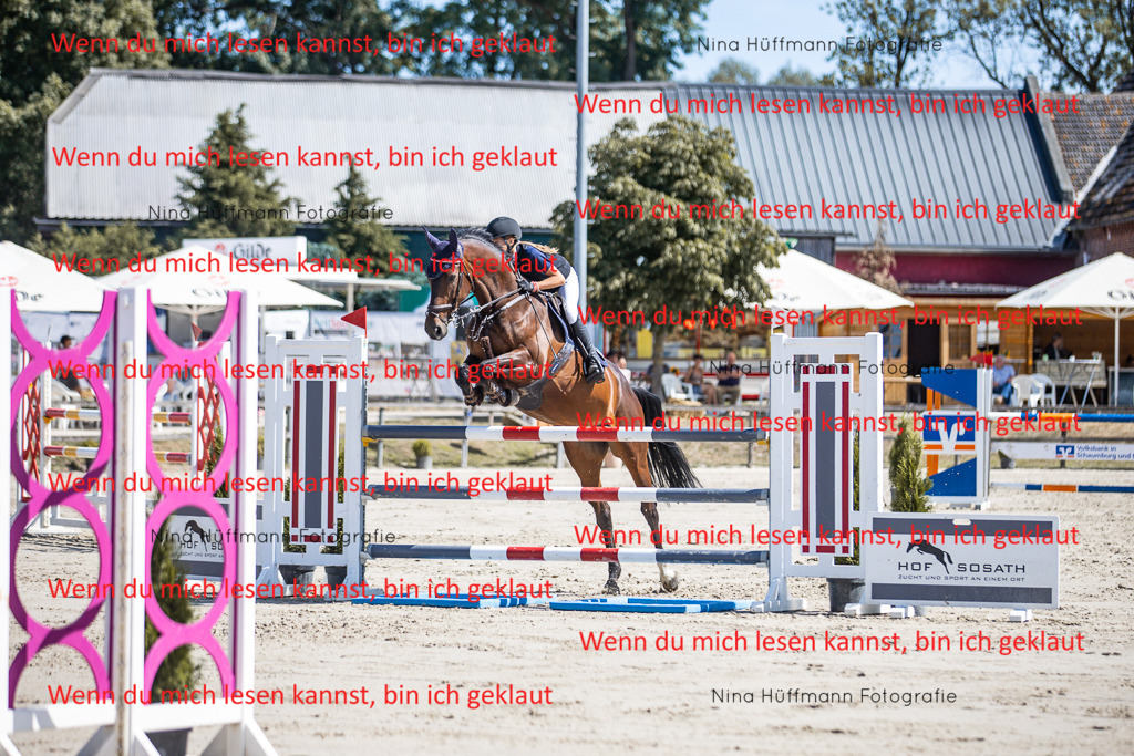 BK1A6697 | Turnierbilder Turnierfotos Nina Hüffmann Turnierfotografie Pferdefotografie Tierzeichnung Haustierzeichnung Pferdezeichnung Hundezeichnung Videograf  - Realisiert mit Pictrs.com
