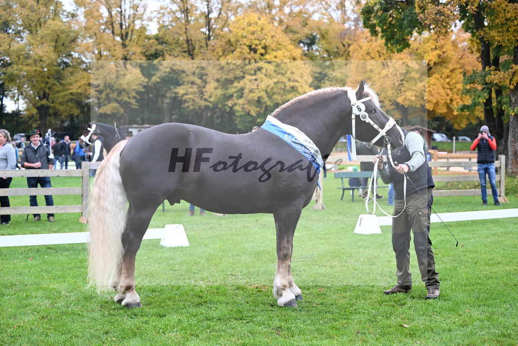 Kat-Nr. 6 Steinbach von Burggen v. Sixtus_Schleich_41250273 | hf-fotografie - Realizzato con Pictrs.com
