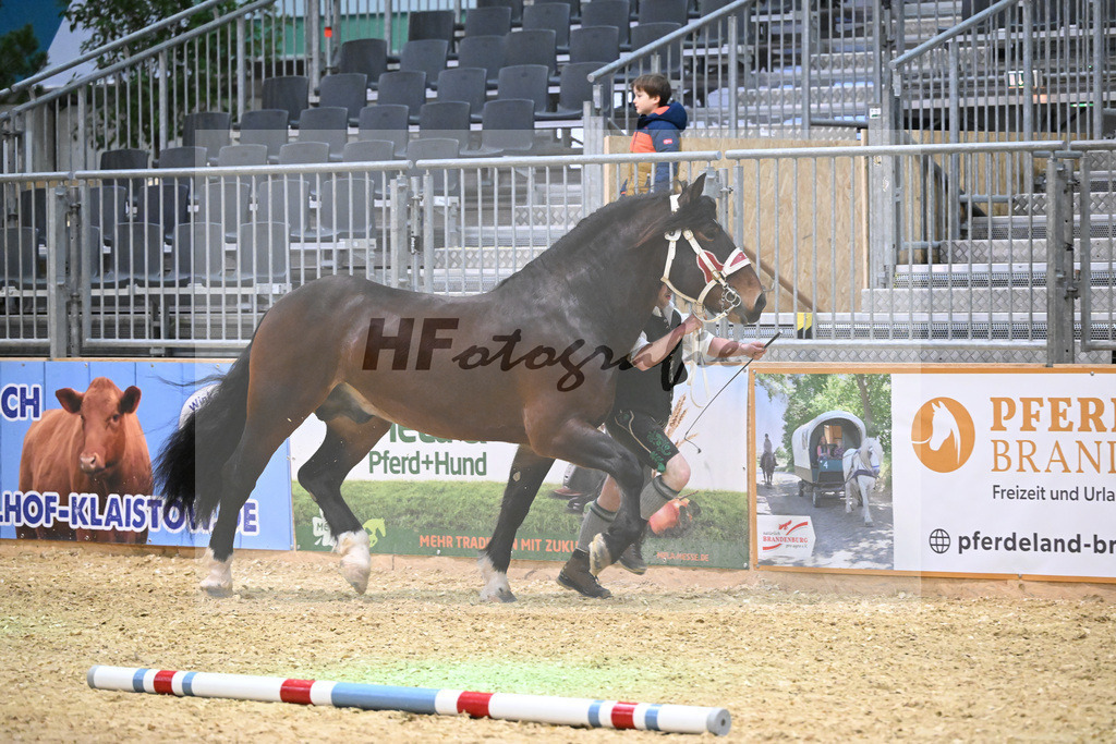 Kat-Nr. 9 Rubino III W v. Rivero_Fritzmeier_1260165 | hf-fotografie - Realisiert mit Pictrs.com