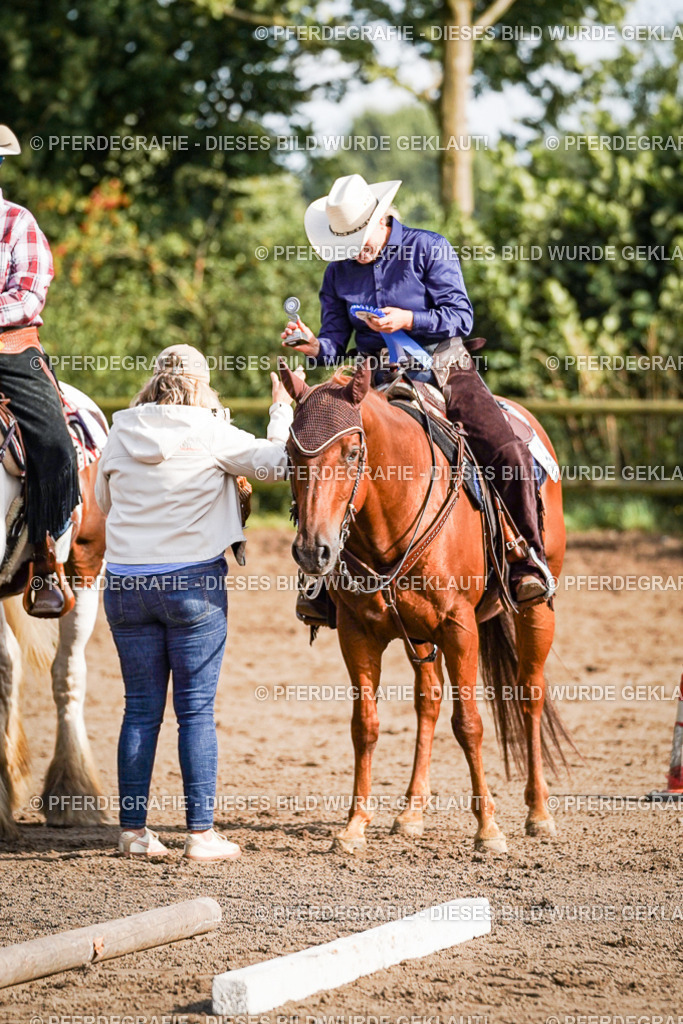 DSC00376 | Pferdegrafie