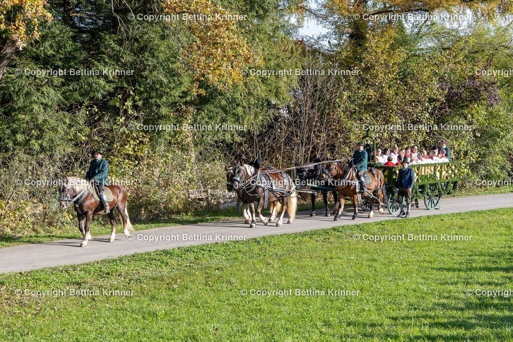 LBT24-28 | foto-bettina-krinner - Realisiert mit Pictrs.com