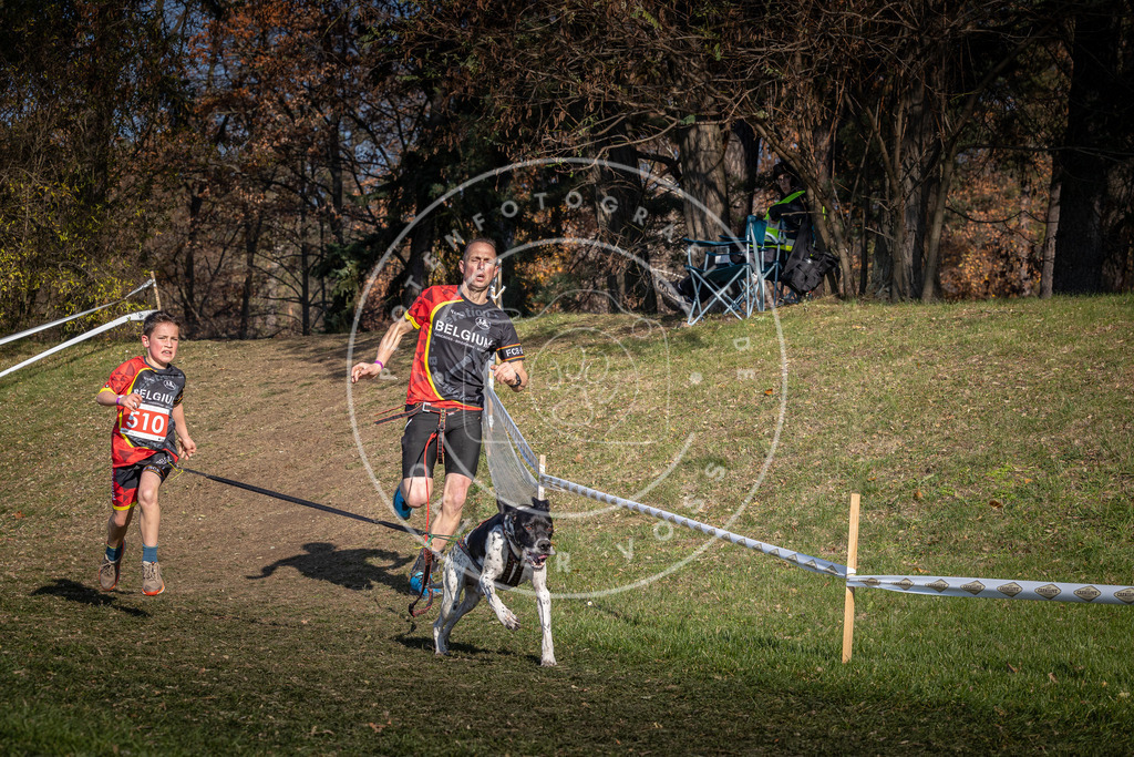 CaniXpix_0L8A8344 | Hundefotografie, Tierfotograf, Pfotenfotografie, Fotoshooting Hund, Hunde Portrait, Hundesport, Hundeportraits, Heideshooting, Hunde, Sportfotograf, Hundefotograf, Turnierhundsport, THS,  - Realisiert mit Pictrs.com