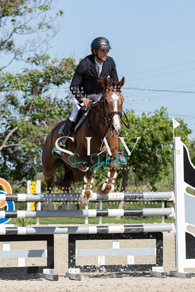 IMG_0858 | s-jay-photography - Realisiert mit Pictrs.com