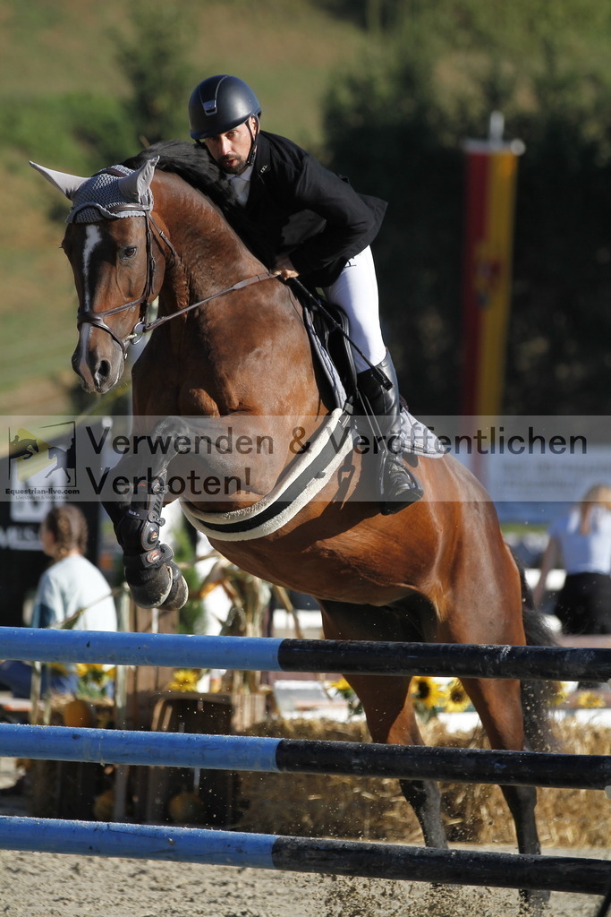 _MG_7441 | equestrian-live-com