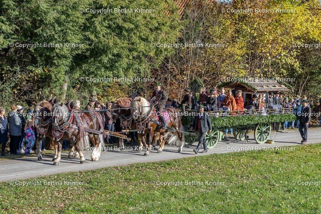 LBT25-387 | foto-bettina-krinner - Realisiert mit Pictrs.com
