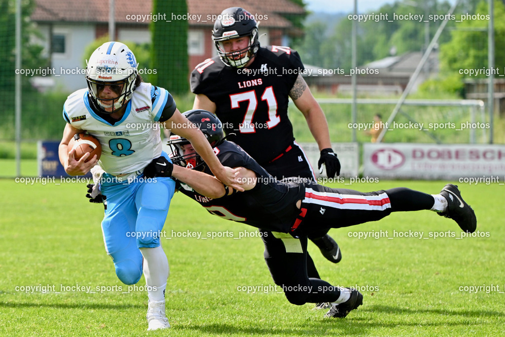 Carinthian Lions vs. Styrian Bears | Carinthian Lions vs. Styrian Bears, Carinthian Lions vs. Styrian Bears am 20.05.2024 in Klagenfurt (ASV Sportplatz), Austria, (Photo by Bernd Stefan)