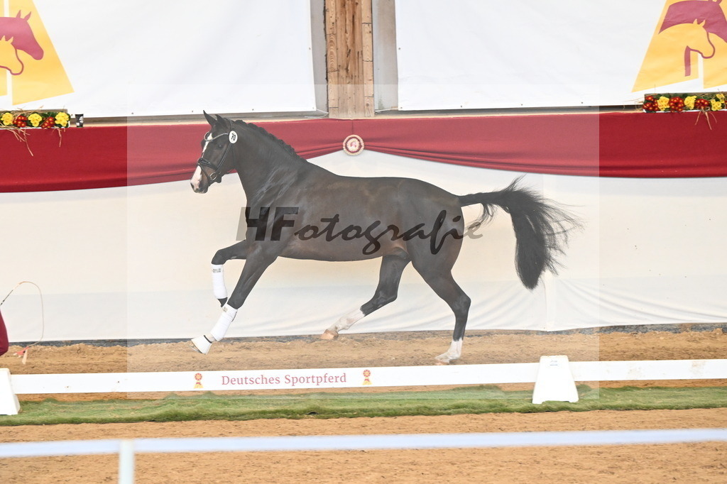 Kat.-Nr. 70 v. Negro_Holtwiesche_3260845 | hf-fotografie - Realizzato con Pictrs.com