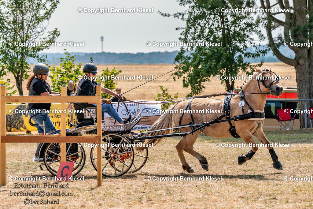 2A902881 | foto-team-bernhard - Realisiert mit Pictrs.com