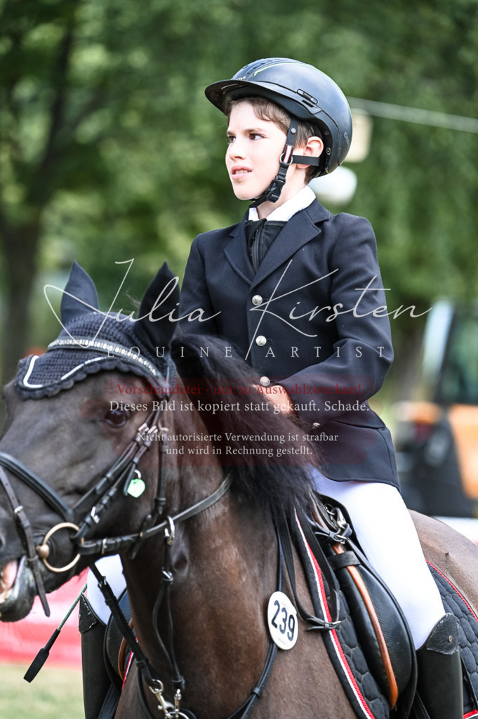 DSC_9757 | Pferde- und Turnierfotografie in Westsachsen. Pferdeportraits, Auftragszeichnungen und intuitive Kunst.