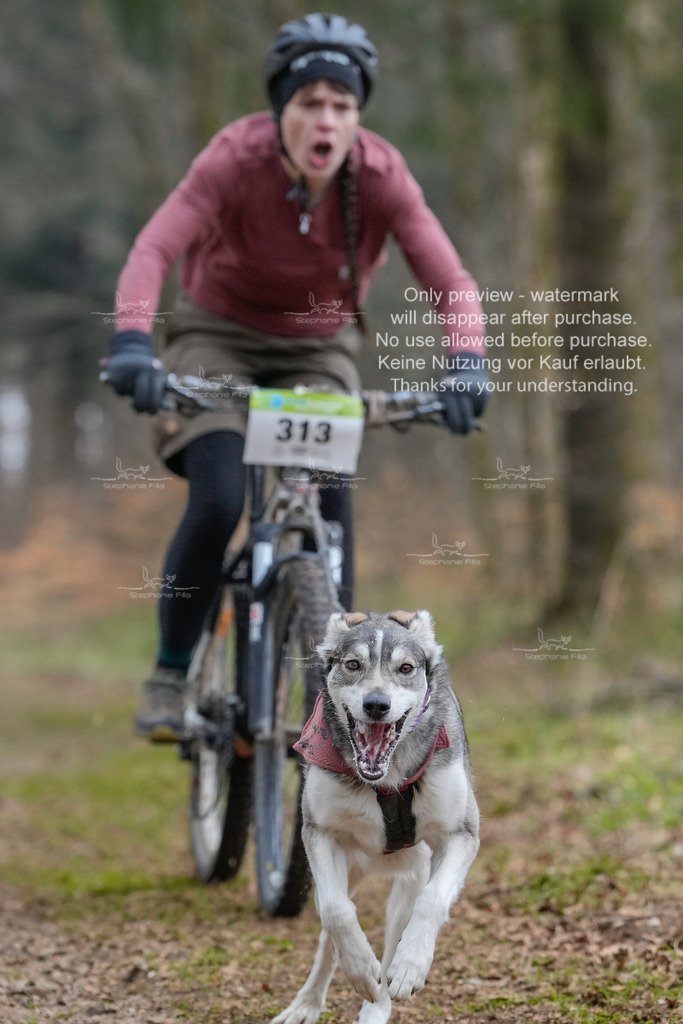 BikekurzSa-134 | stephaniefillaphotographie - Realisiert mit Pictrs.com