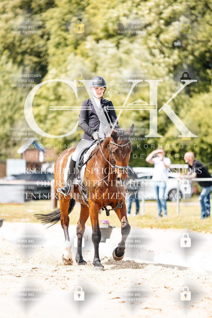 CK901772 | Turnierfotografie Pferdefotografie Trier Rheinland-Pfalz Pferdesport Reitsport Tierfotografie Sportfotografie Pferdevideo Pferdevideografie Equestrianvideography equestrianphotography  - Realisiert mit Pictrs.com