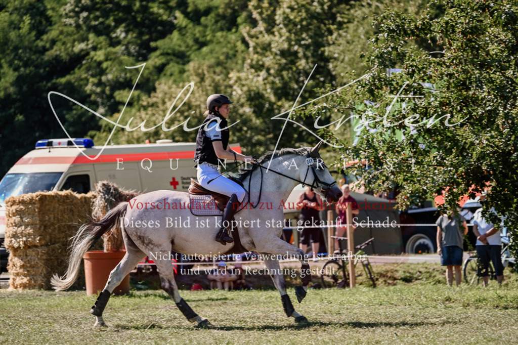 DSC_2853 | Pferde- und Turnierfotografie in Westsachsen. Pferdeportraits, Auftragszeichnungen und intuitive Kunst.