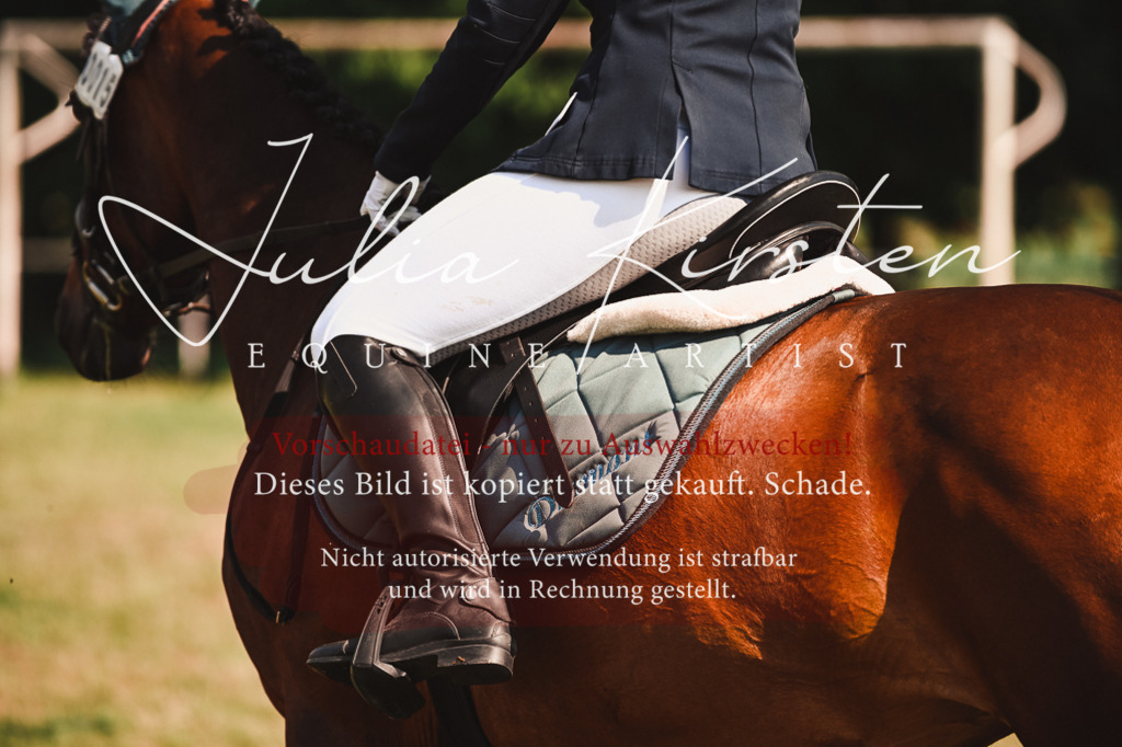 DSC_7323 | Pferde- und Turnierfotografie in Westsachsen. Pferdeportraits, Auftragszeichnungen und intuitive Kunst.