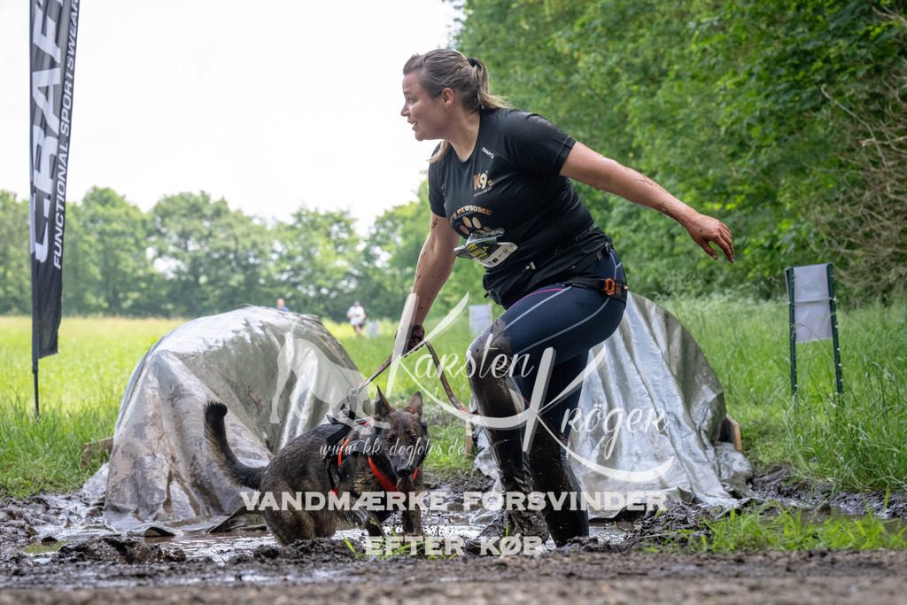 1147_ZZ94524 | kk-dogfotos