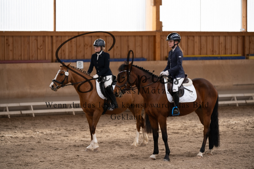 A7V09396 | Pferdefotograf