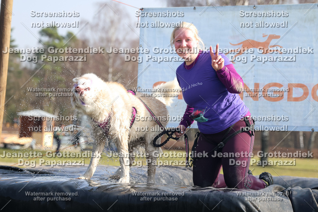 Dog Paparazzi - Strongdog North Mrz26-1576 | Dog Paparazzi Jeanette Grottendiek Fotografie & Videografie - Realisiert mit Pictrs.com