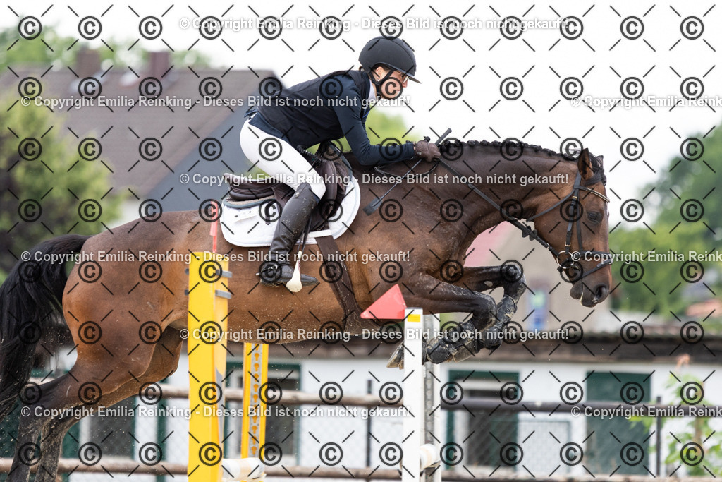 CL5A5008 | Emilia Reinking Fotografie - Realisiert mit Pictrs.com