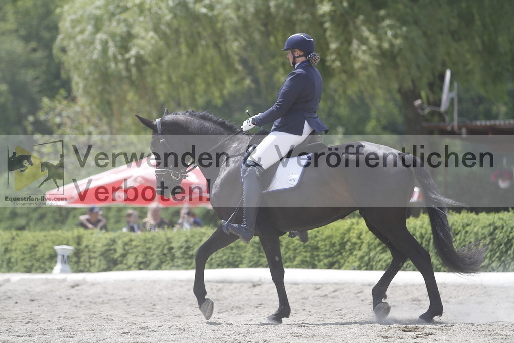 _MG_0016 | equestrian-live-com