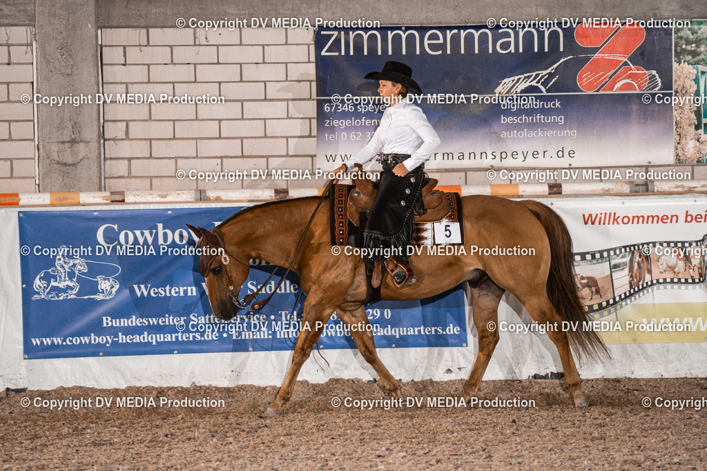 ZH100985 | dv-media-shop - Realisiert mit Pictrs.com