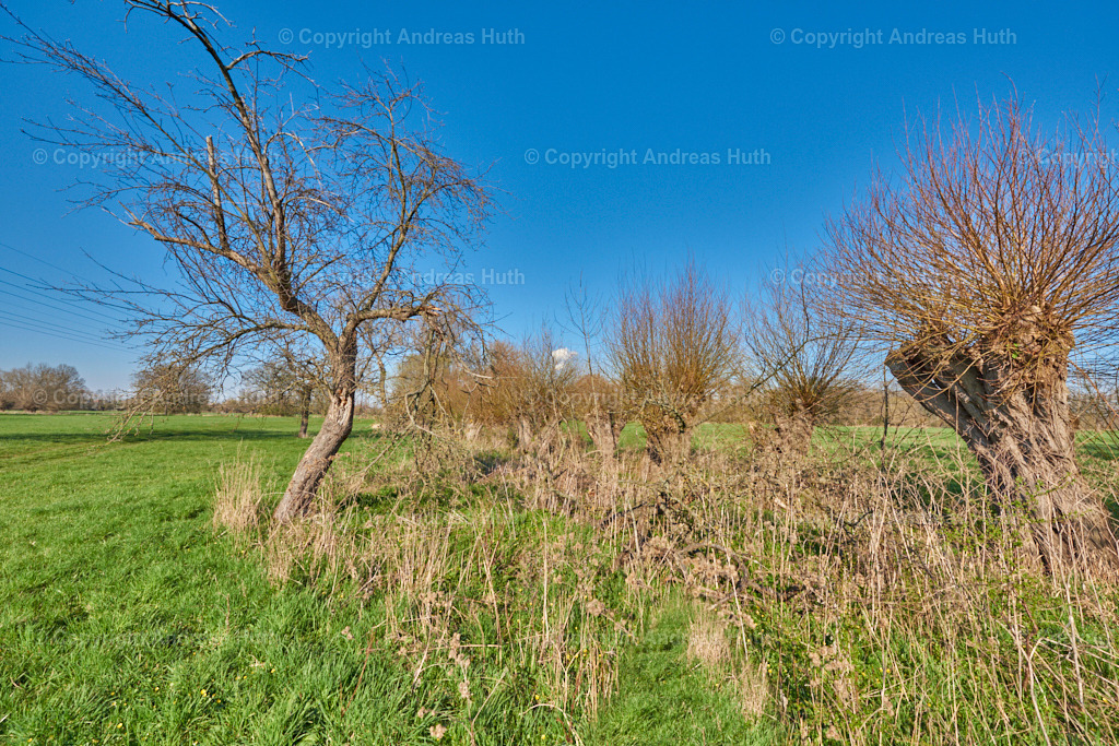 In der Elsteraue bei Predel 01 | Bedeutsame Landschaften Deutschlands - Realisiert mit Pictrs.com