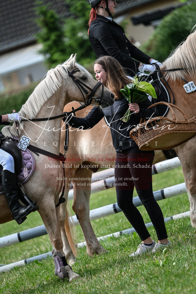 DSC_8680 | Pferde- und Turnierfotografie in Westsachsen. Pferdeportraits, Auftragszeichnungen und intuitive Kunst.