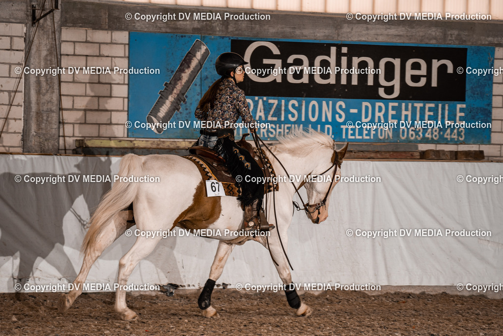 ZH200506 | dv-media-shop - Realisiert mit Pictrs.com