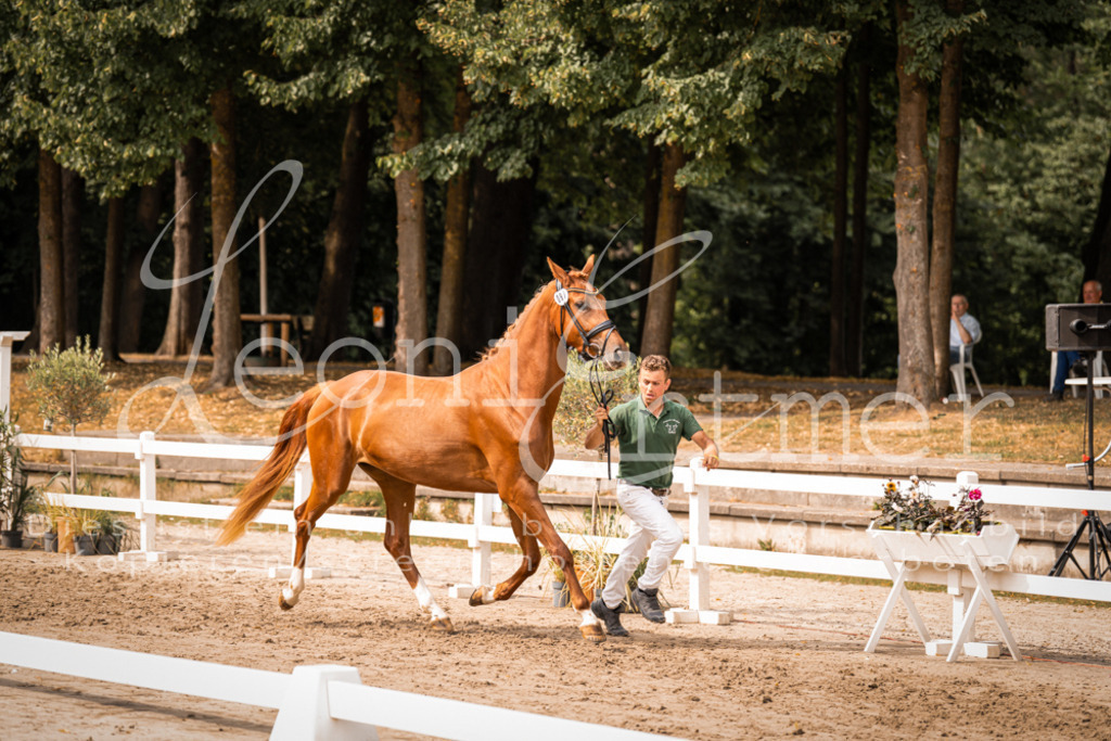 7.Fr00045 | Leoni Ertmer Photography - Realisiert mit Pictrs.com