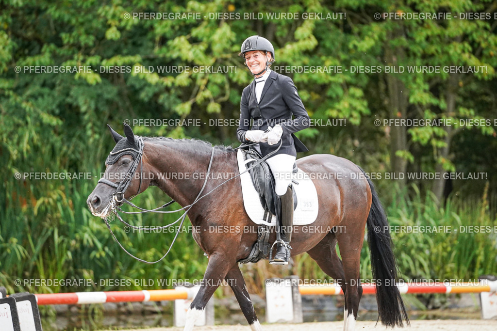 DSC09102 | Pferdegrafie