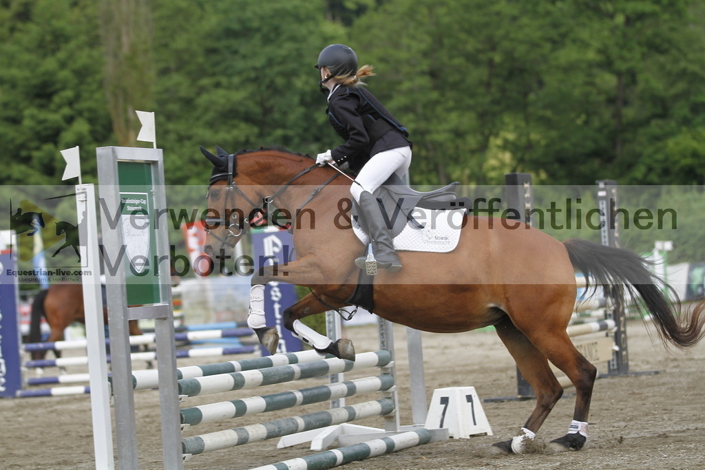 _MG_4296 | equestrian-live-com