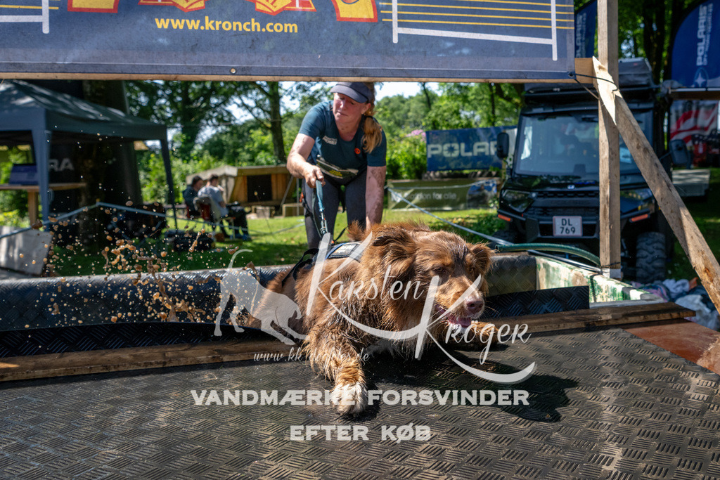 1247_ZZ92465 | kk-dogfotos