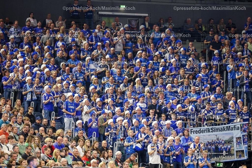xSSCx18042601048 | 18.04.2026, xsscx, Handball, DHB-Pokal Lidl Final4, TBV Lemgo-Lippe - Füchse Berlin, Saison 2025 / 2026 Herren, Lanxess Arena: Fans des TBV Lemgo Photo: xSandraxScherningxPressefotoKochx