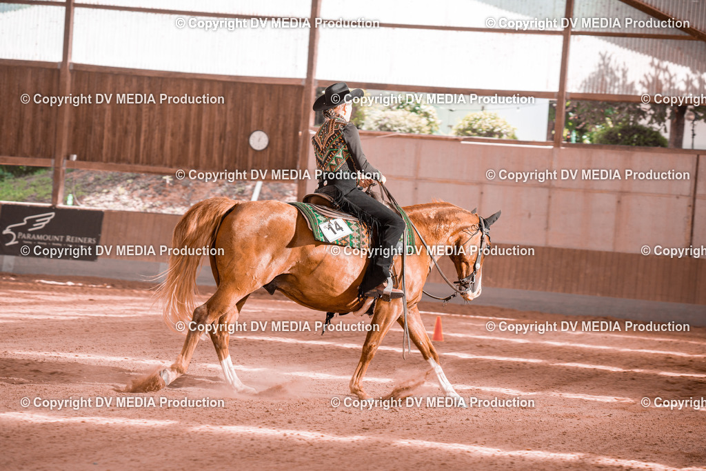 NE300630 | dv-media-shop - Realisiert mit Pictrs.com