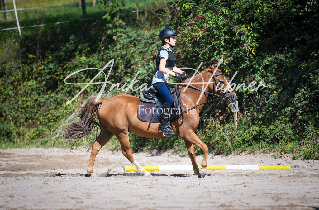 DSC_0190 | anikahuebner - Realisiert mit Pictrs.com