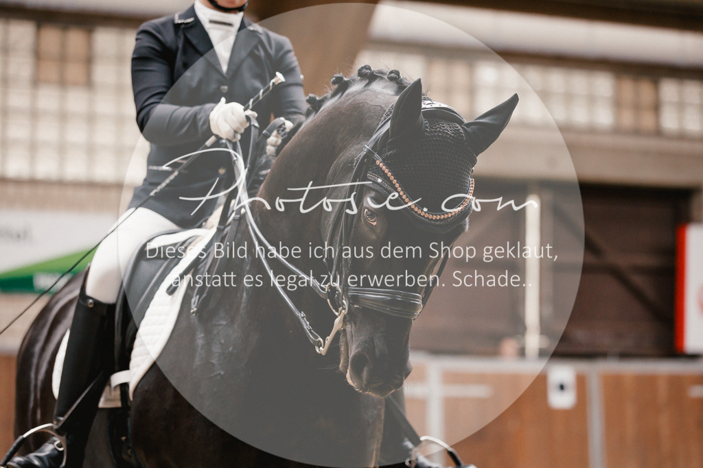 3I6A8557 | Stimmungsvolle Portraits und Reitsportfotografie im Ruhrgebiet und im Münsterland.

Pferdefotografie, Hundefotografie, Tierfotografie, Reportagen, Portraits von Tier und Mensch, Turnierfotografie in Bochum, Recklinghausen, Marl, Haltern am See, Dülmen.. - Realisiert mit Pictrs.com
