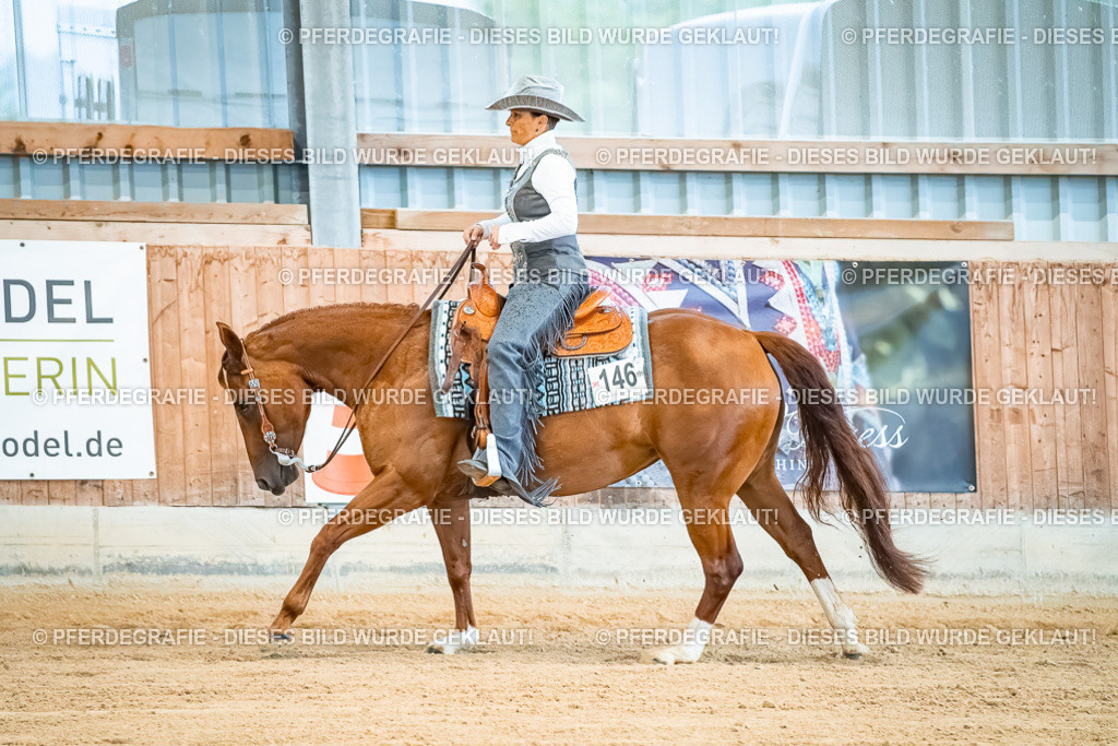 DSC00010 | Pferdegrafie