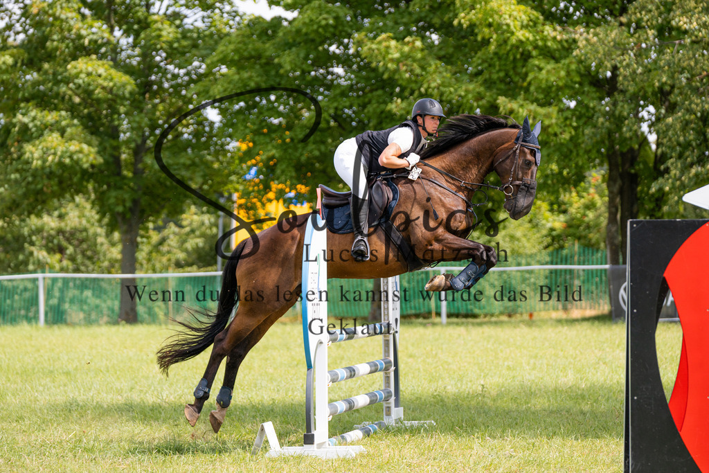 A7V04575 | Pferdefotograf