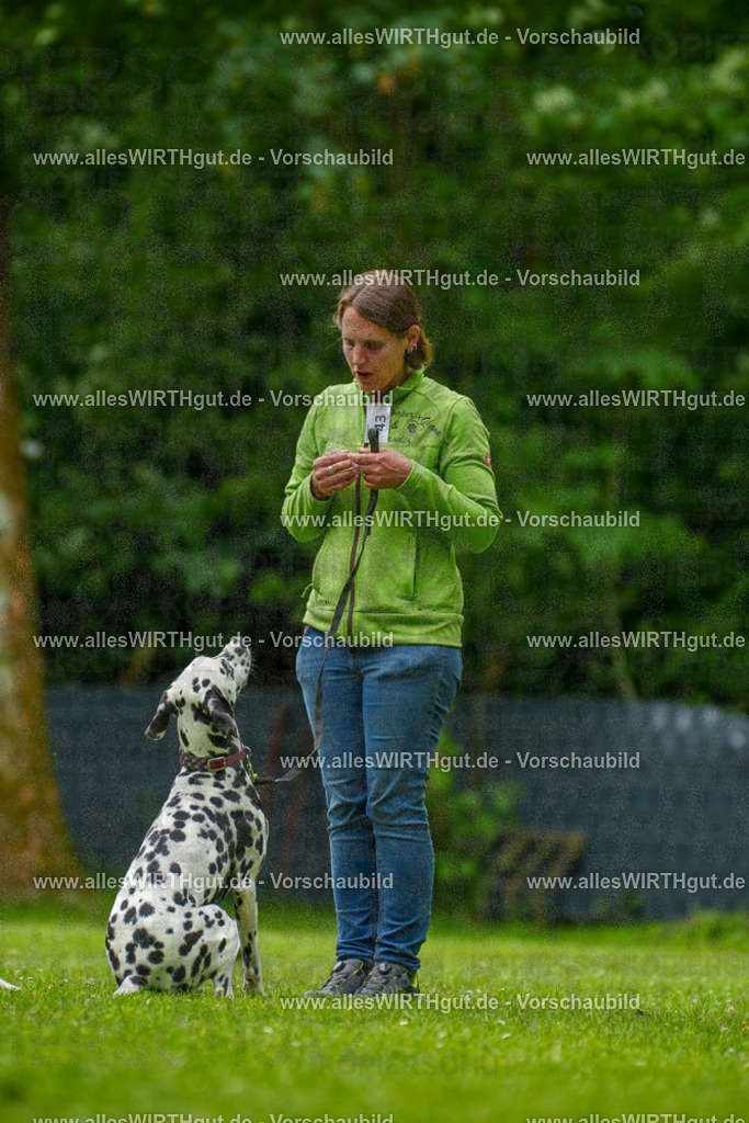 @allesWIRTHgut_Tierfotografie - www.allesWIRTHgut.de - 135243-7R500122 | Professionelle Tierfotografie in Mönchengladbach von Daniel Wirth (allesWIRTHgut). Liebevolle & natürliche Bilder von Hunden & Katzen für unvergessliche Erinnerungen.
