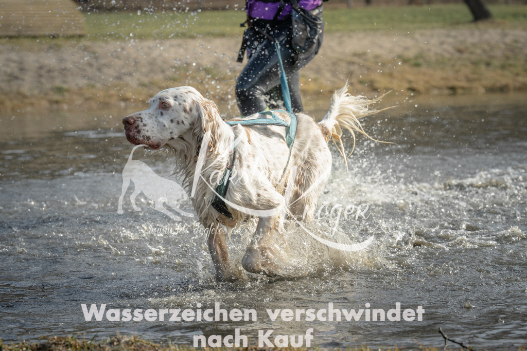 1047_ZZ99853 | kk-dogfotos