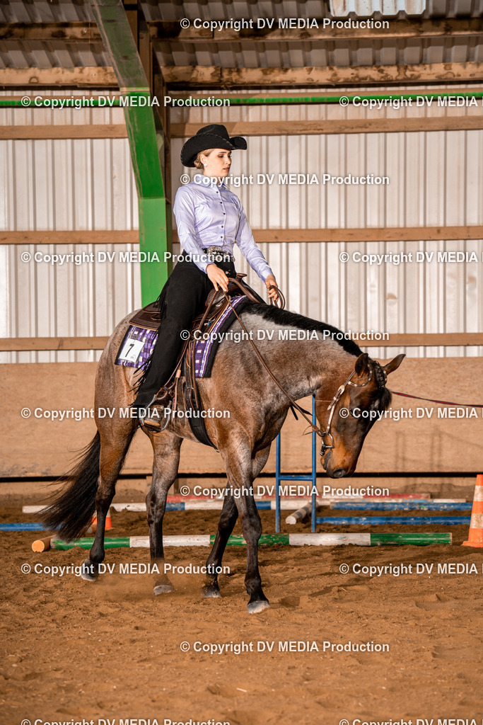 BA400207 | dv-media-shop - Realisiert mit Pictrs.com