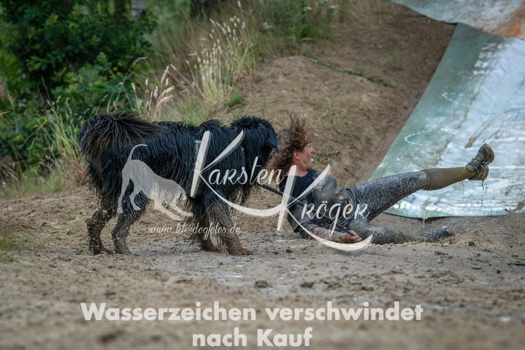 1638_ZZ92203-Bearbeitet | kk-dogfotos