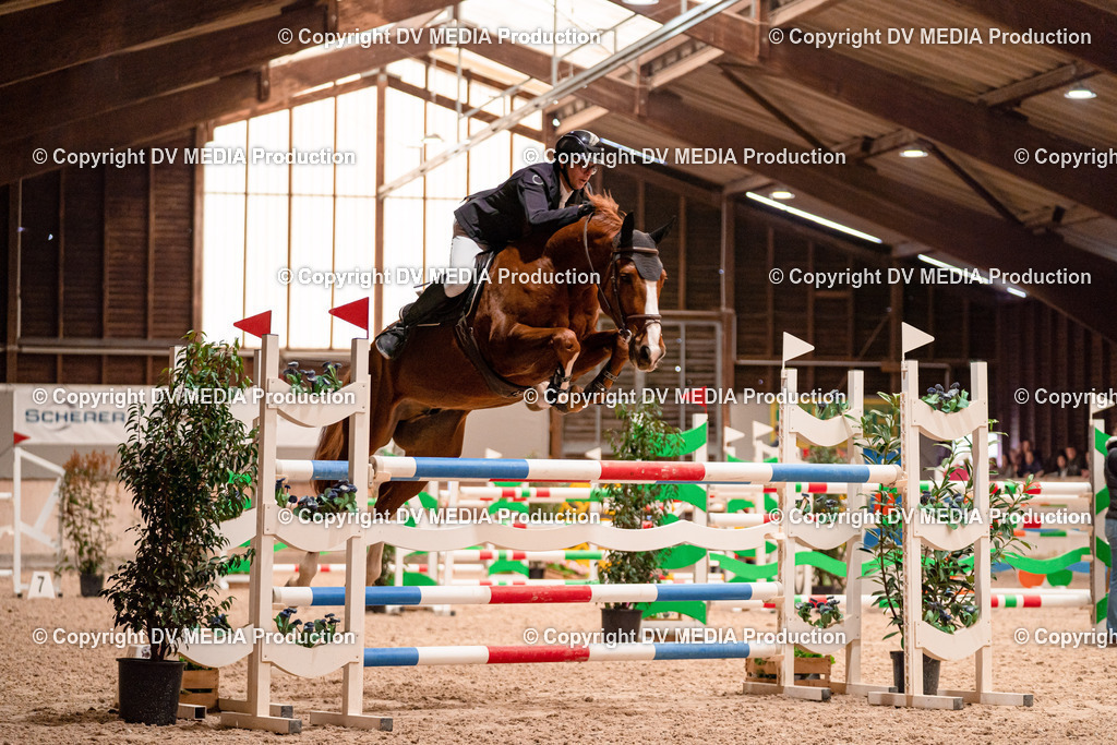 Springen Tag 3-331 | dv-media-shop - Realisiert mit Pictrs.com