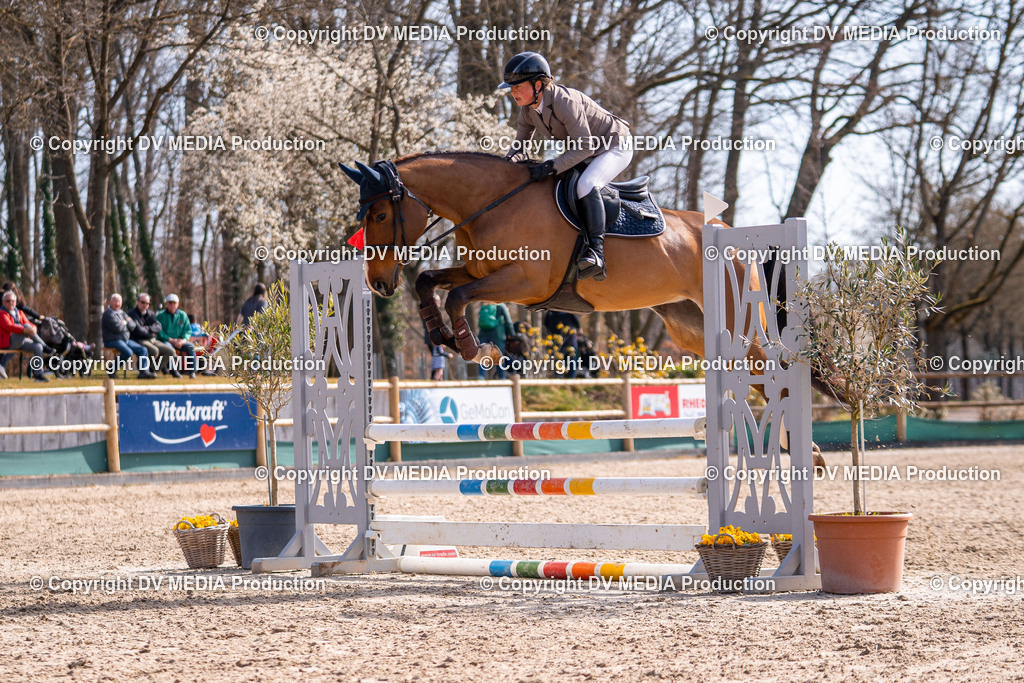 Kranichstein Tag 1-356 | dv-media-shop - Realisiert mit Pictrs.com