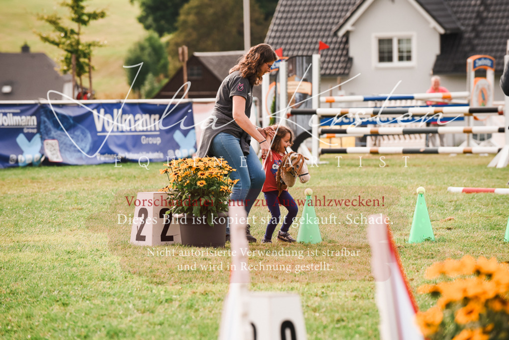 DSC_4654 | Pferde- und Turnierfotografie in Westsachsen. Pferdeportraits, Auftragszeichnungen und intuitive Kunst.