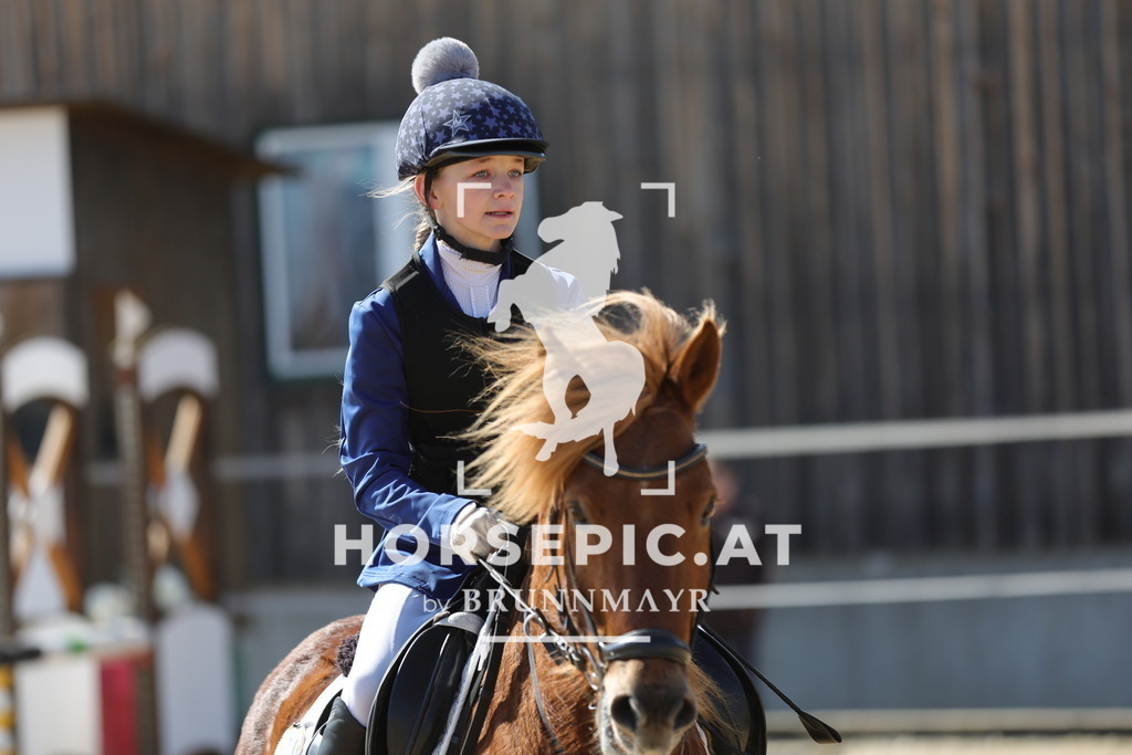 0P6A6716 | Willkommen bei Brunnmayr - Design & Fotografie – Ihrem Spezialisten für Reitturniere und Pferdeveranstaltungen in Oberösterreich, Salzburg und Bayern! Seit über 17 Jahren sind wir leidenschaftlich dabei.