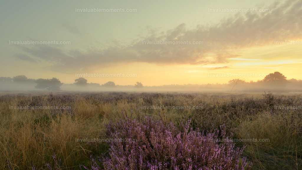 DSC_1108 | invaluablemoments.com - Realisiert mit Pictrs.com