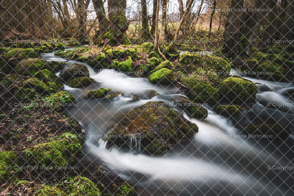 DSC01665 | ikphotography - Realisiert mit Pictrs.com