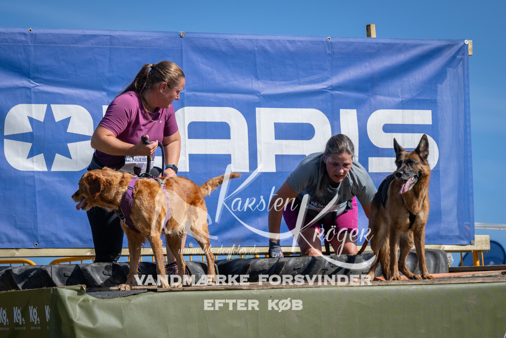 1059_ZZ90007 | kk-dogfotos