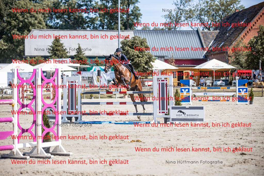 BK1A6888 | Turnierbilder Turnierfotos Nina Hüffmann Turnierfotografie Pferdefotografie Tierzeichnung Haustierzeichnung Pferdezeichnung Hundezeichnung Videograf  - Realisiert mit Pictrs.com