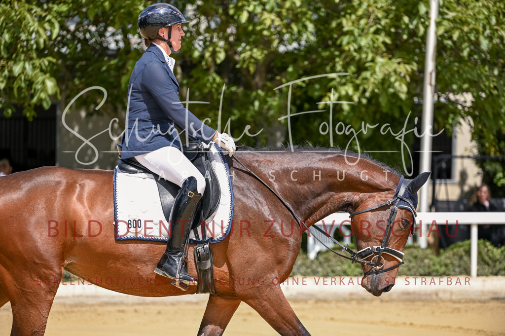 Schugtsche-Aluta25-48.Reitpferfdeprf.-13 | Schugtsche Fotografie - Realisiert mit Pictrs.com